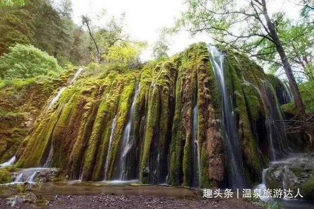现在去外地，住宿都需要什么手续和证件？你现在敢外出了吗？游戏画面